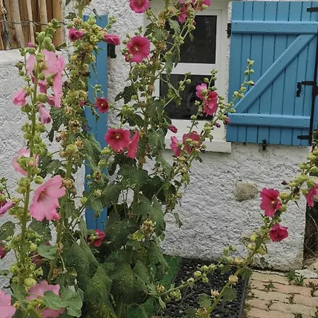 La Maison Du Pecheur - Jacuzzi 3 Etoiles